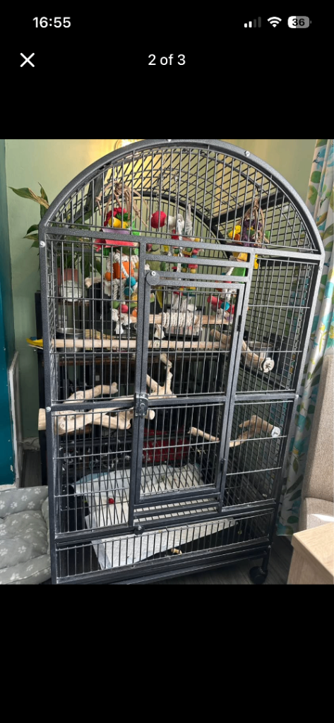 Large cage / big bird cage / birds cage / large rain forest cagecage