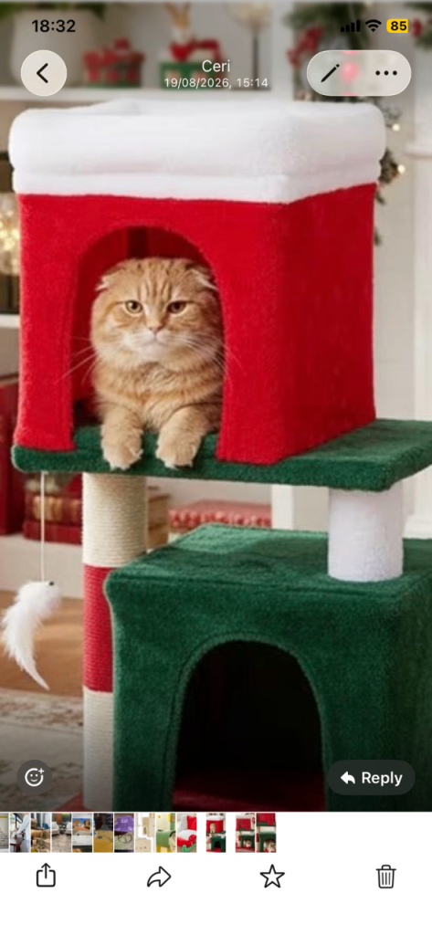 Large cat scratcher house Xmas new 