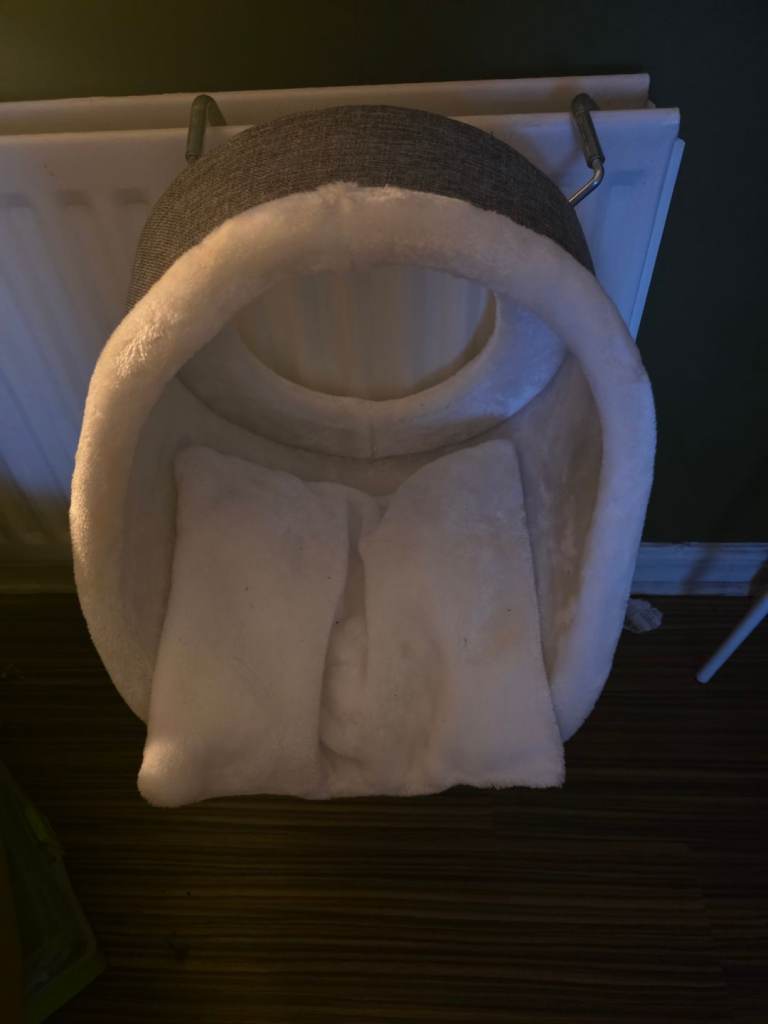Cat radiator bed 