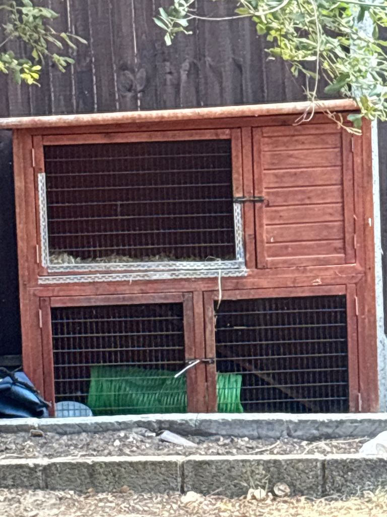 Rabbit hutch double 