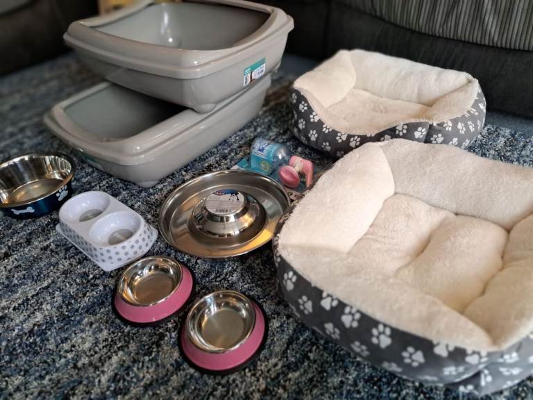 Bundle of pet items, delivery available