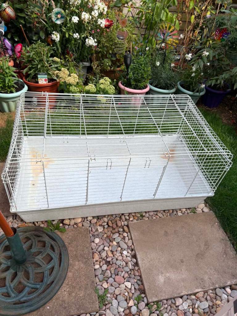 Guinea pig cage