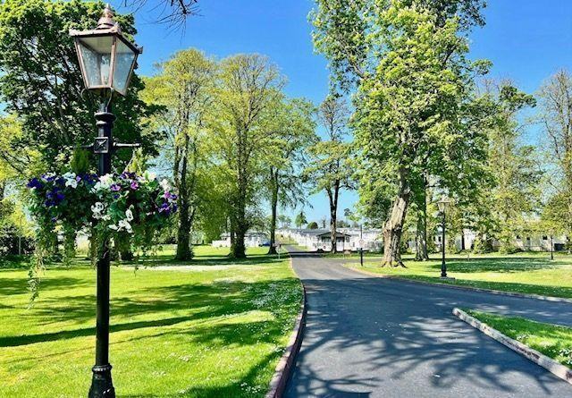 New Willerby New Holland in Angus  - Lodge / Caravan 