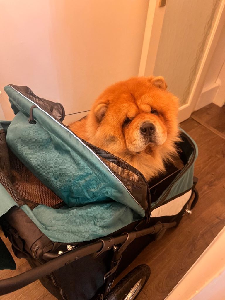 Paw-Hut foldable large dog pram stroller buggy