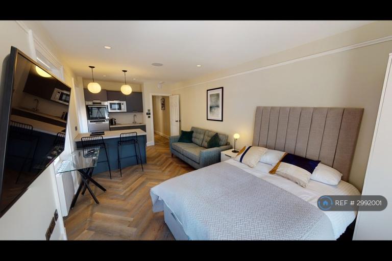 Studio flat in Rodney St, Liverpool, L1 (#2992001)