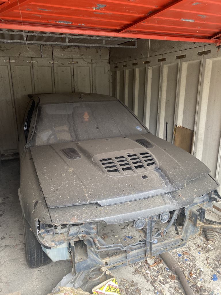 Nissan pulsar gtir’s