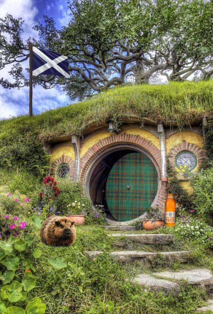 Rental Property Needed Asap