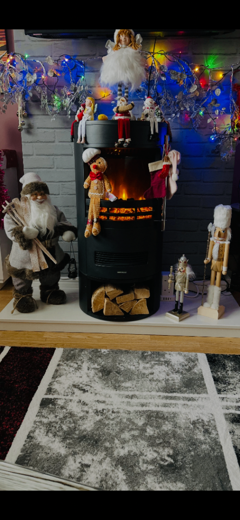 Electric Log Burner &Flu