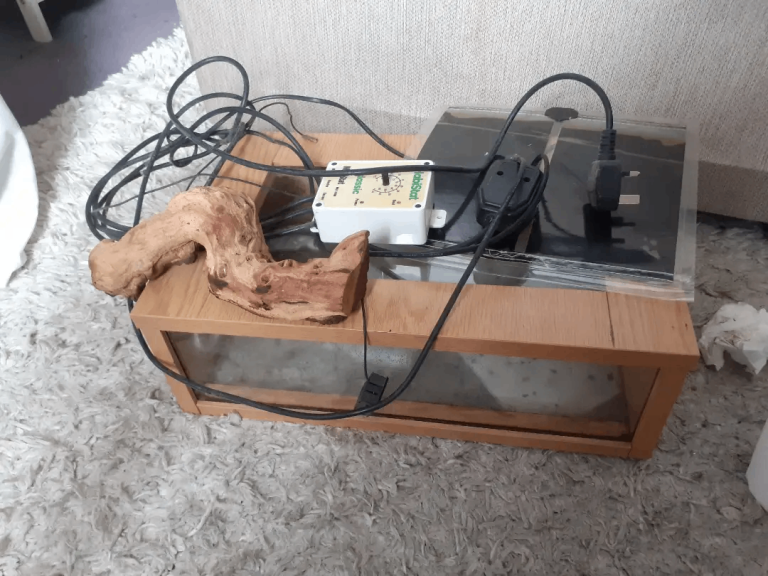 Small Vivarium for sale