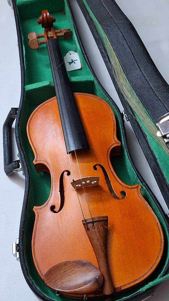 Stentor 1/2 Size Violin - Instrument, Case, Bow & Rosin - Needs Strings and Bow Repair