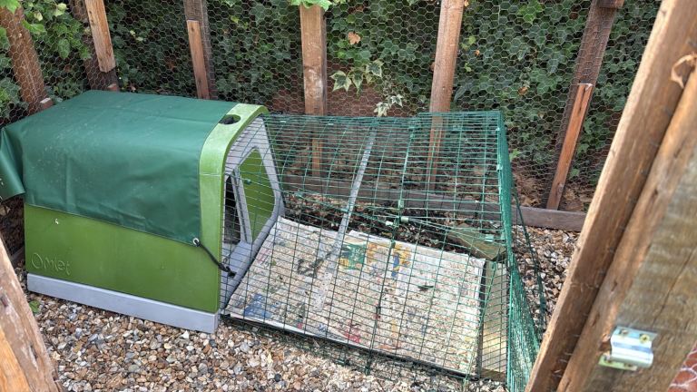 Omlet chicken / rabbit coop with 5m run