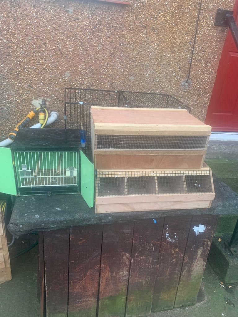 Bird breeding cage and carrying cages 