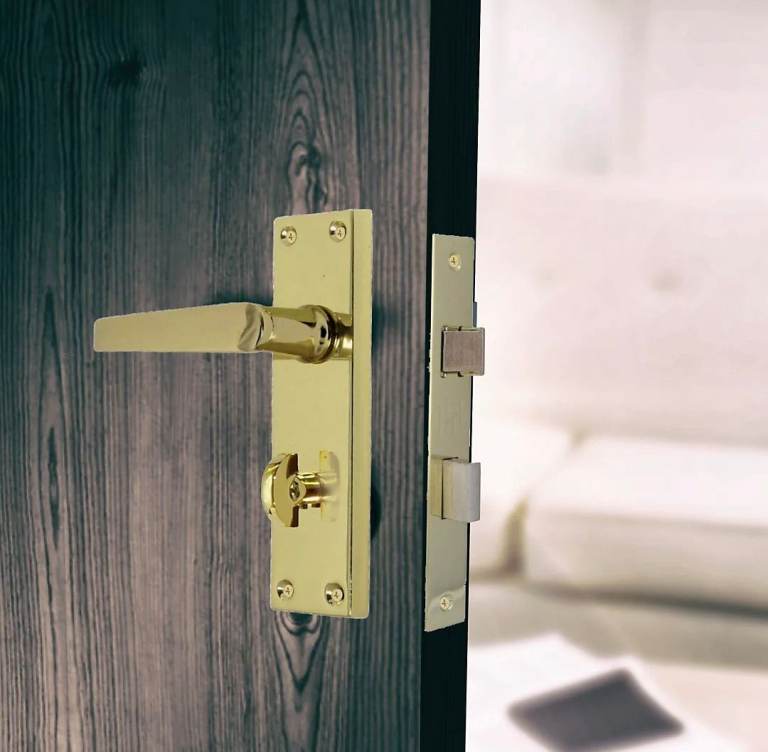 Bathroom Door Handle Brass Finish