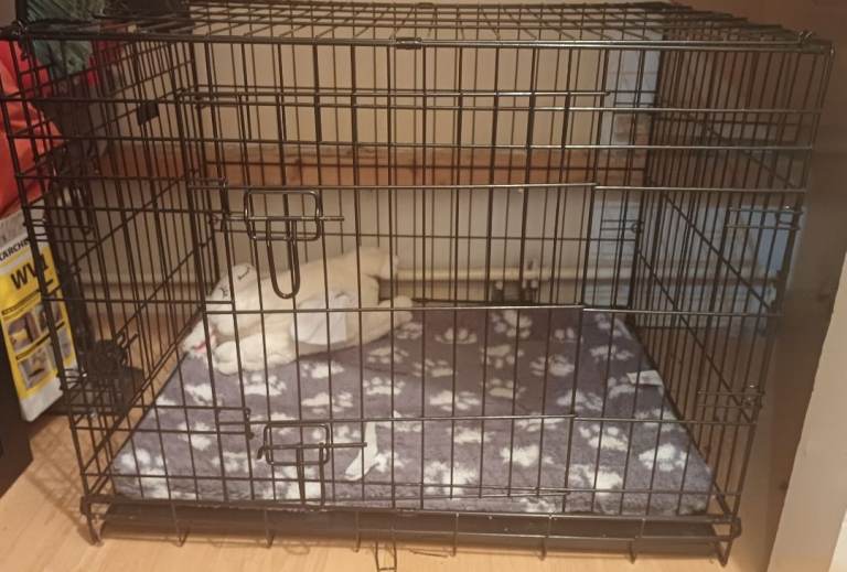 Large dog crate