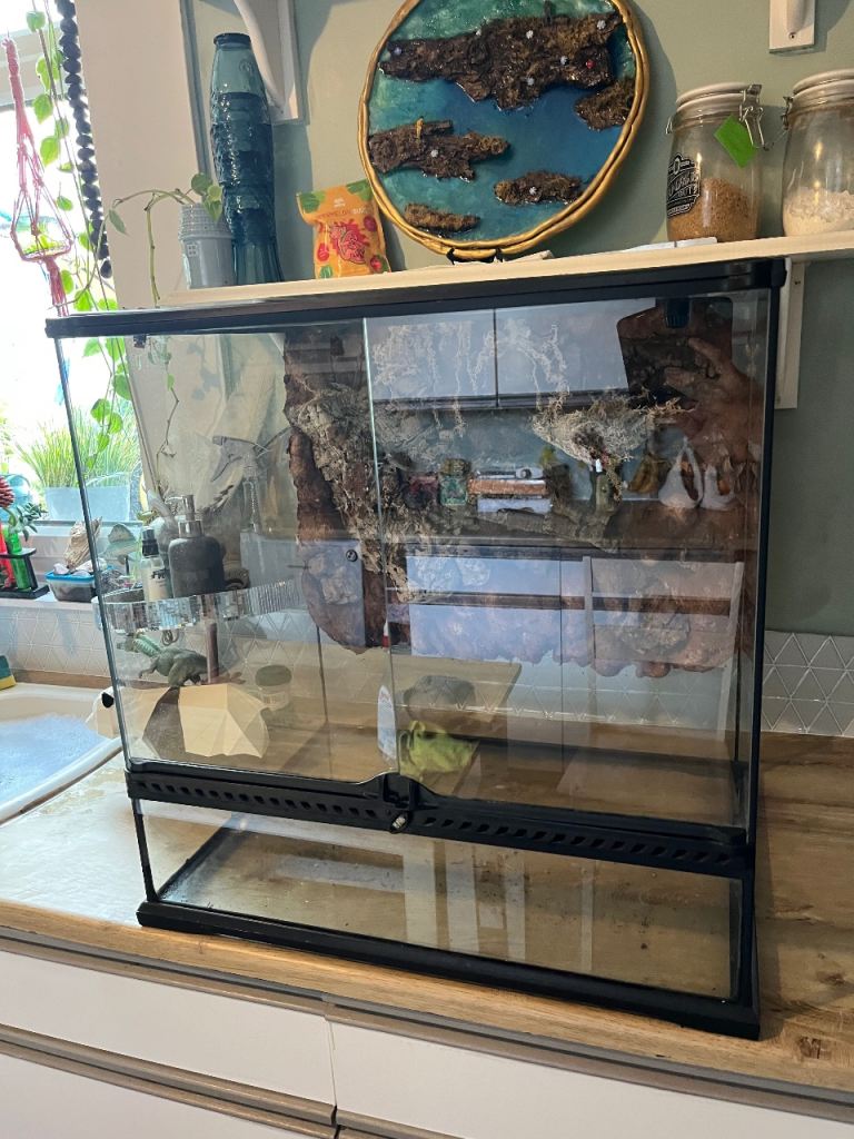 Exo terra 60x60x45 enclosure 
