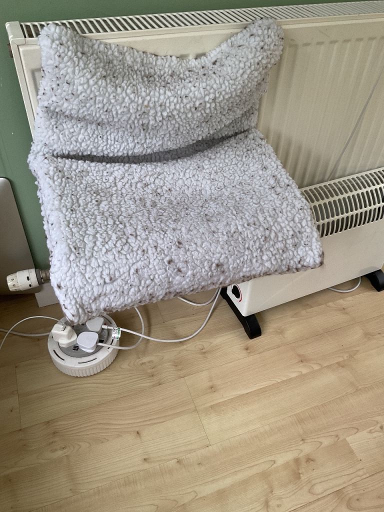 FREE - Cat radiator bed