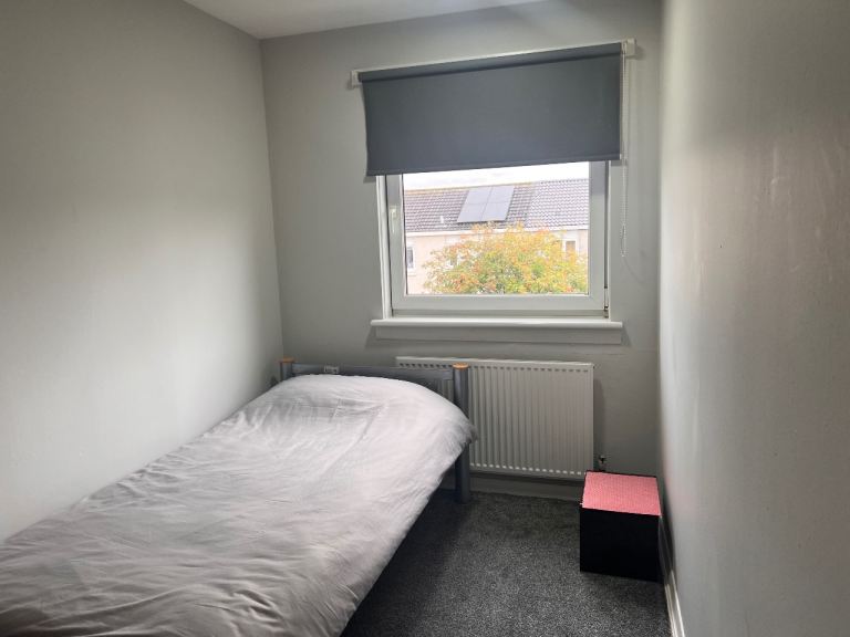 Single room to rent 