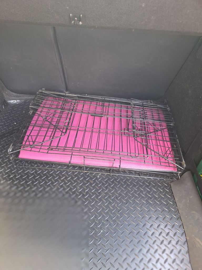 dog cage 