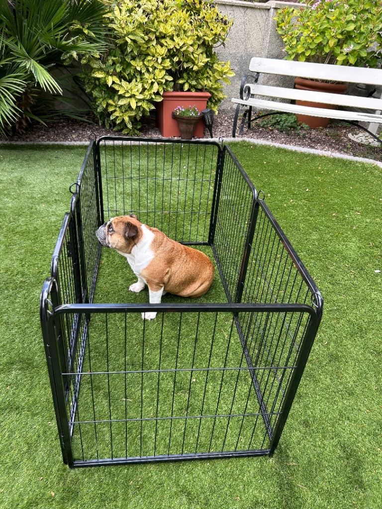 Play pen