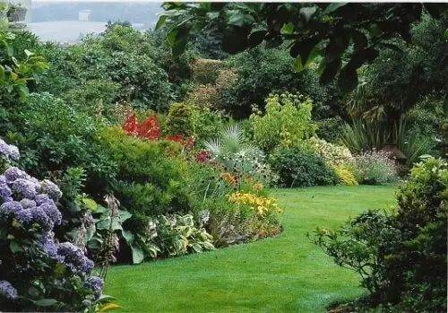 10X MIXED ESTABLISHED GARDEN SHRUBS - HIGH QUALITY 9CM POTTED PLANTS NOT PLUG PLANTS