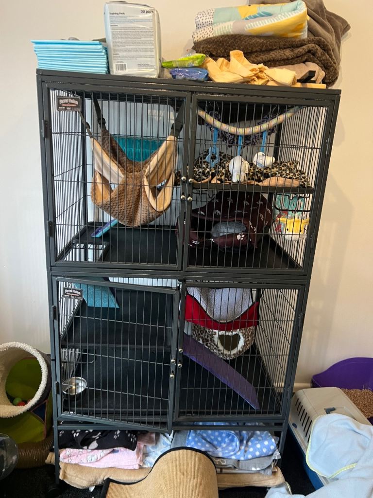 Double ferret nation cage