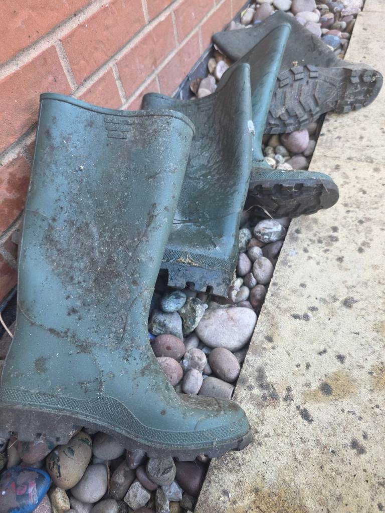 Wellington boots size 5 and 9