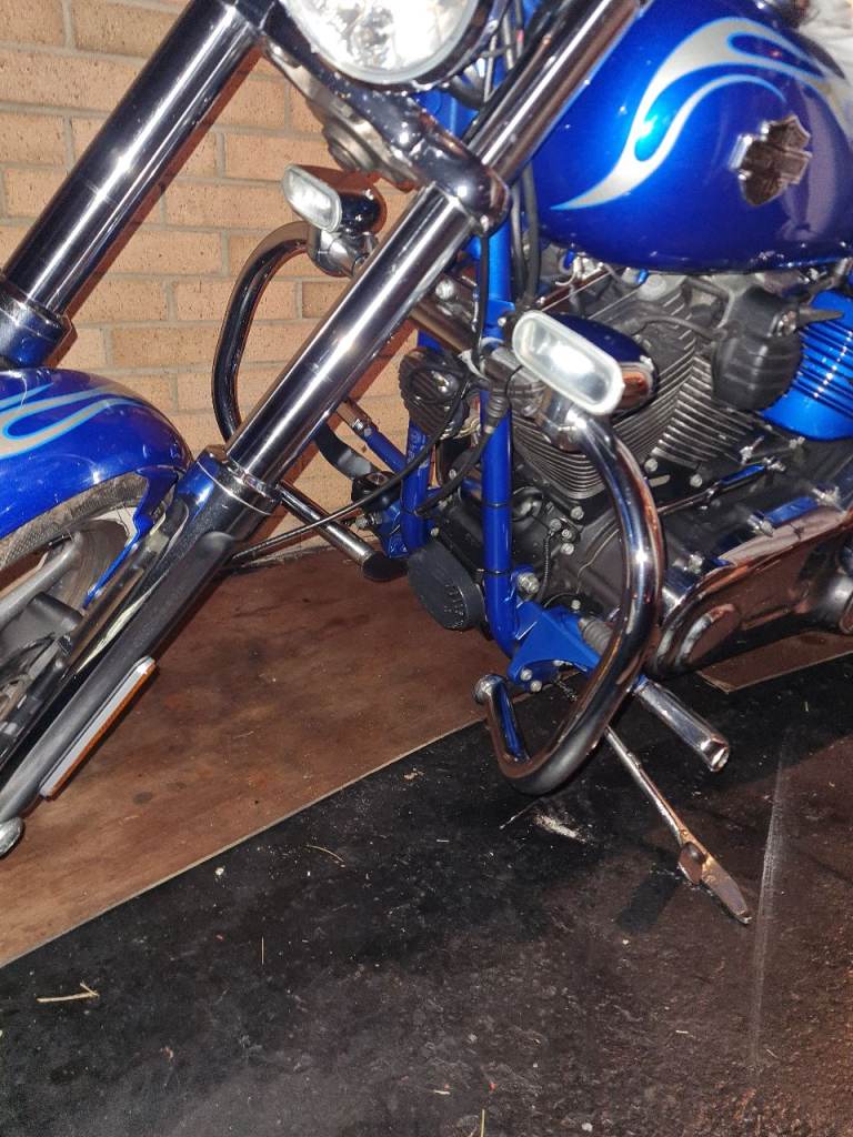 Harley Davidson Front Crash Bar With Driving Lamps.Lovely.