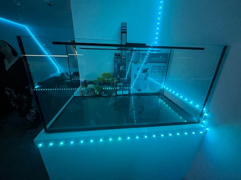 fish tank or turtle tank