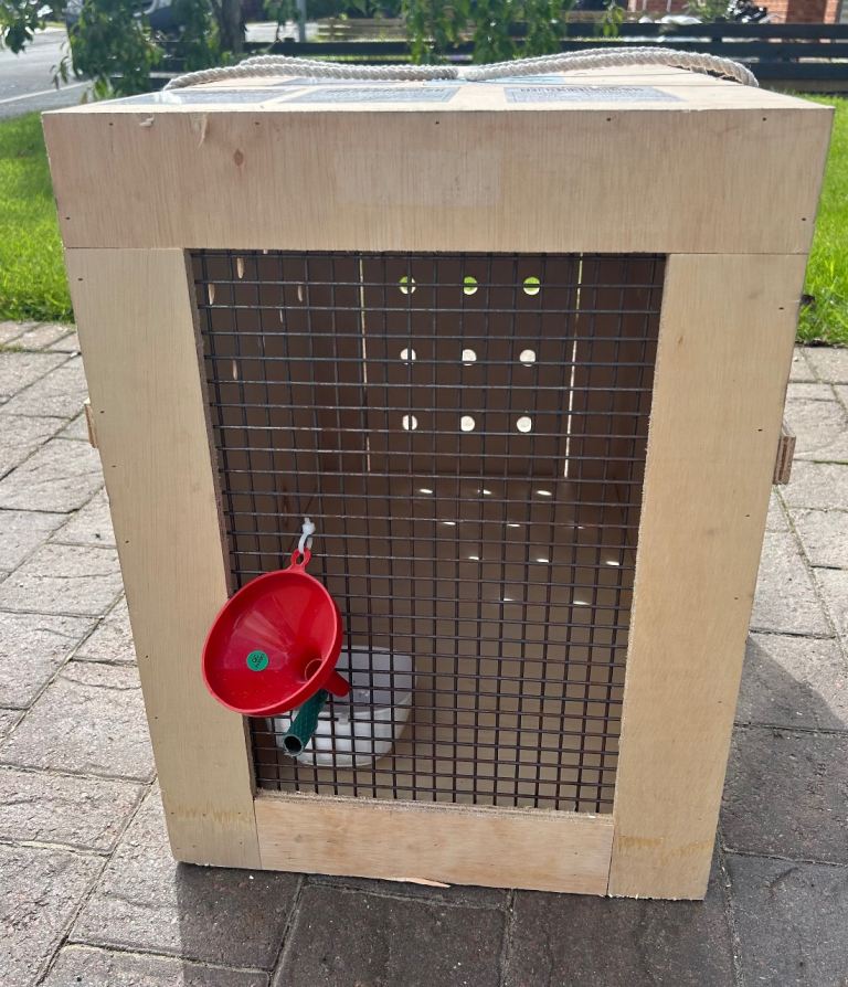 Airline shipping wooden pet crate   Height 55cm Width 42cm Depth 63cm
