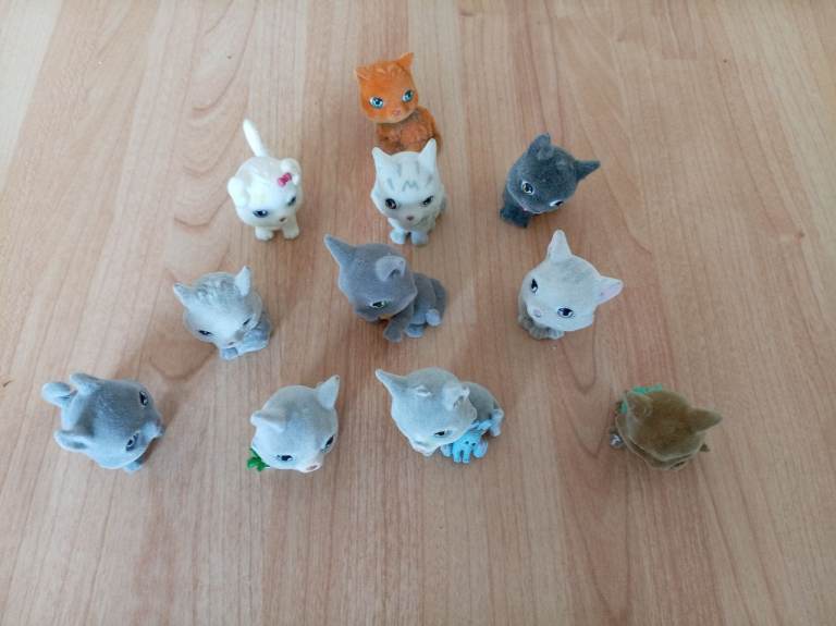 In Your Pocket ~ Kitties/Cats