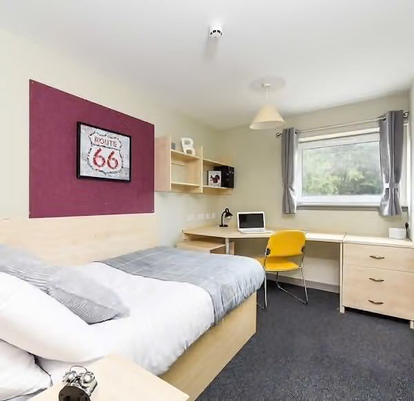 Female Tenancy Takeover 