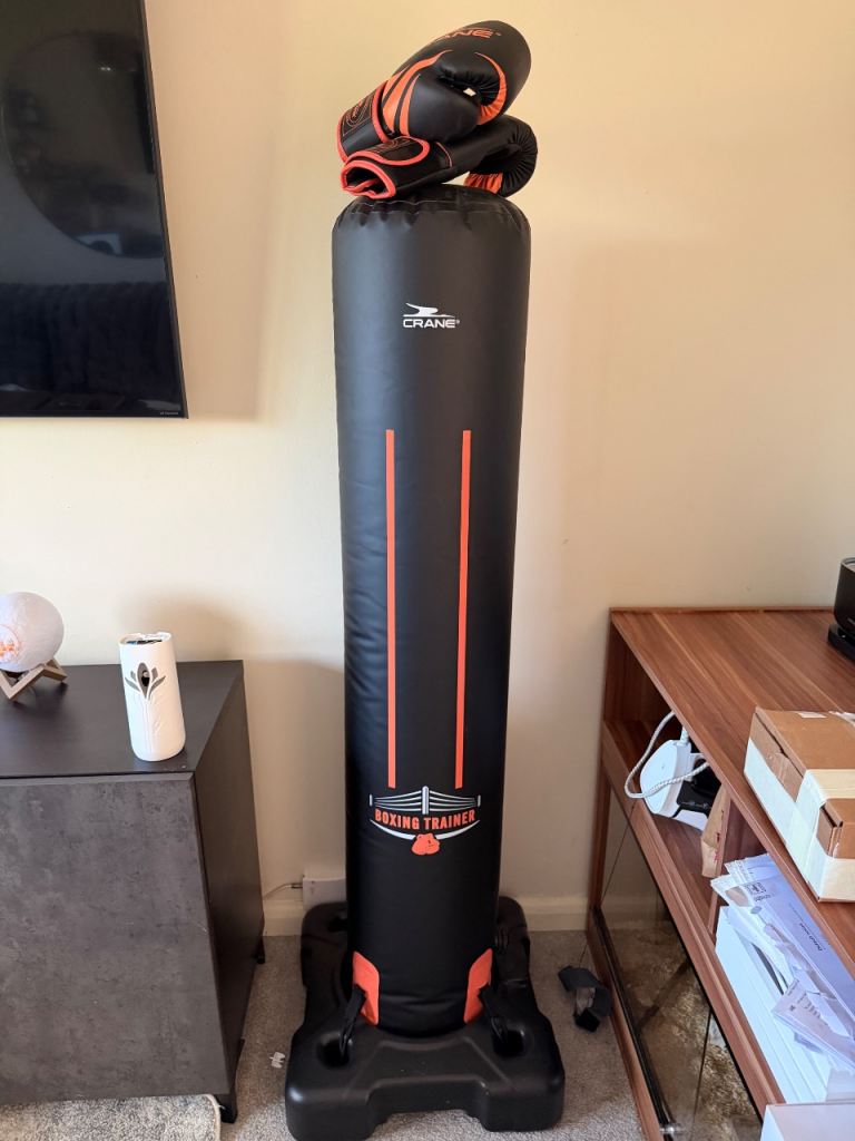 Boxing bag w/gloves