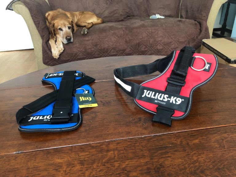Dog harness