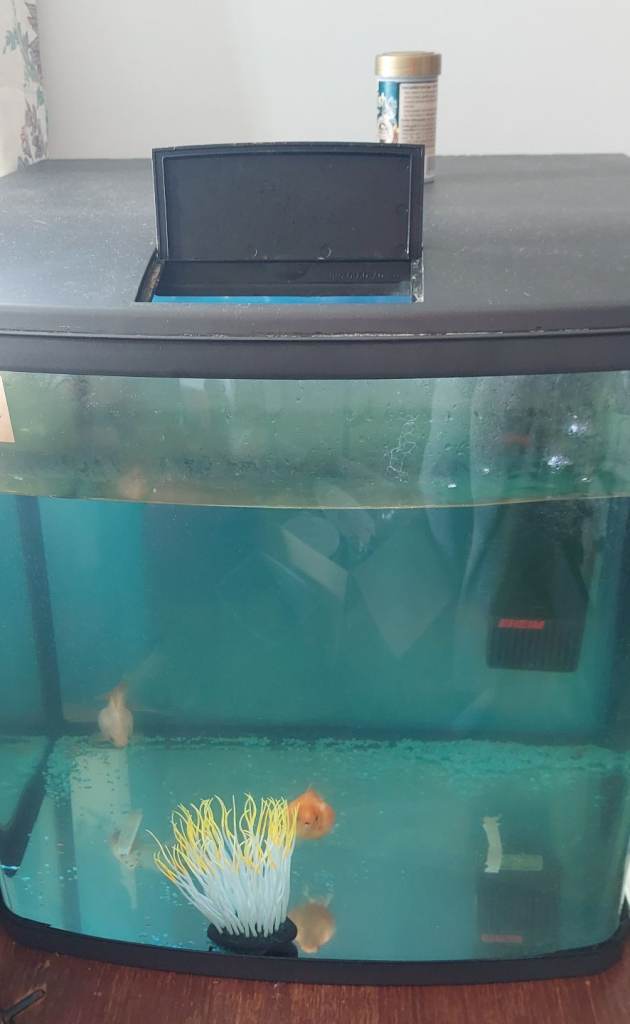 94 litre fish tank