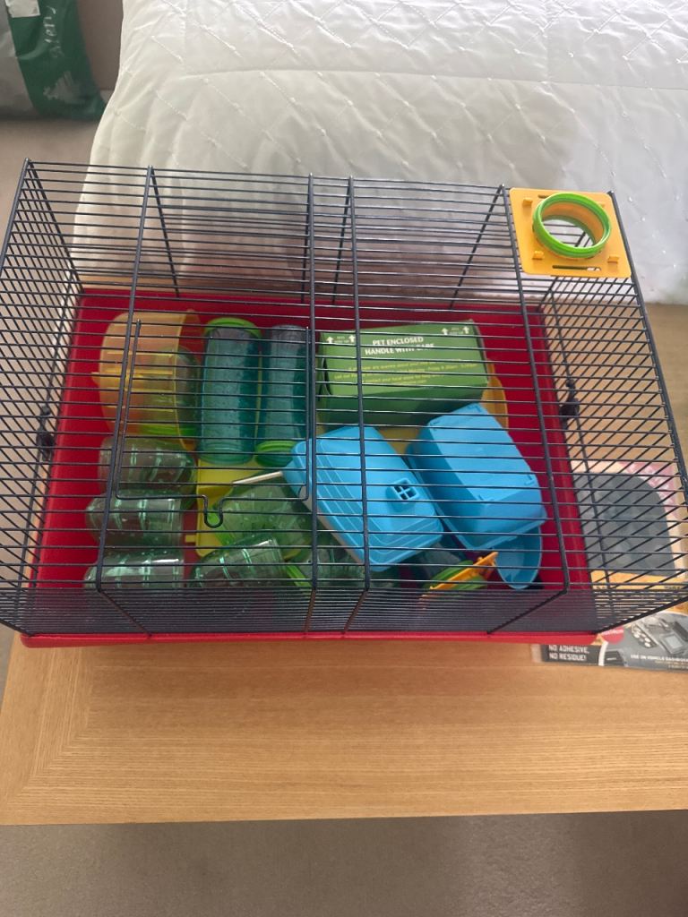 Syrian hamster cage