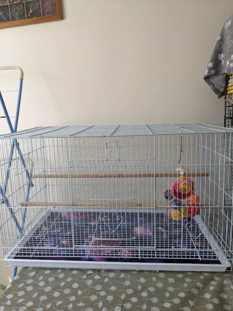 Large bird cage 