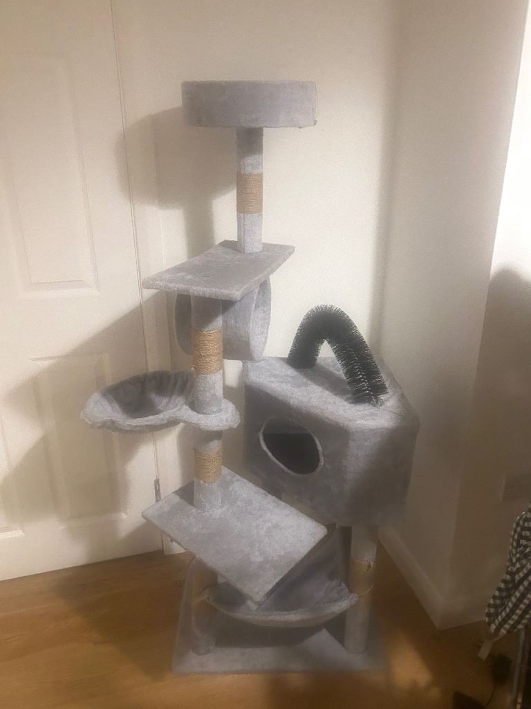 Large cat house 