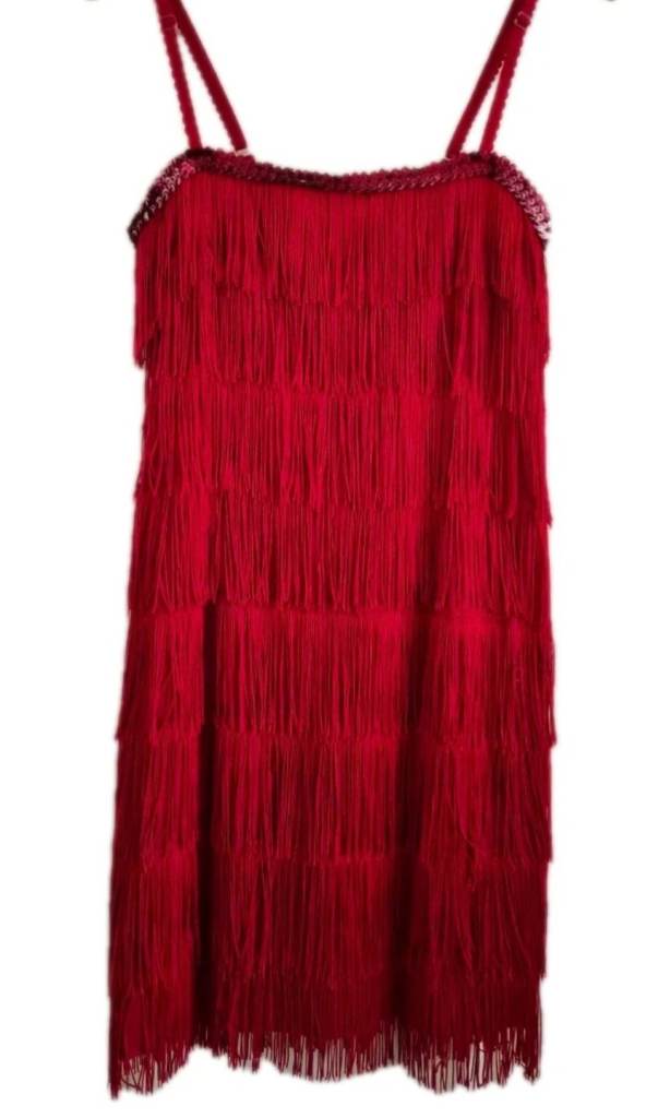 Red 20's Flapper Fringe Dress With Long Gloves
