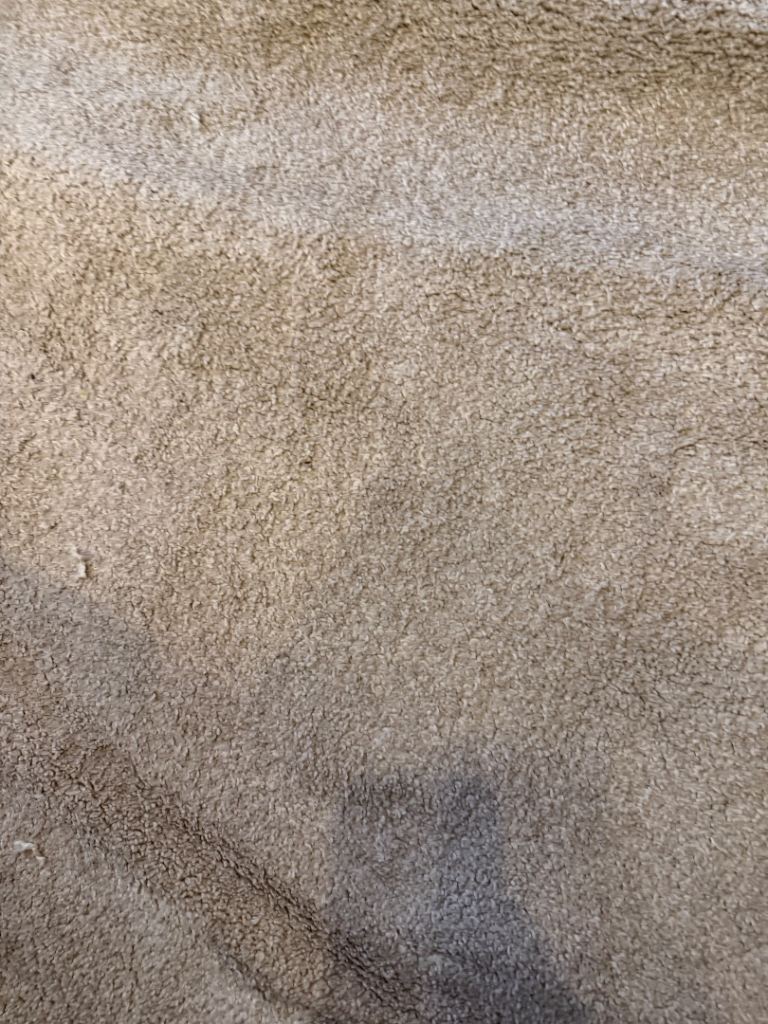 Cream colour carpet
