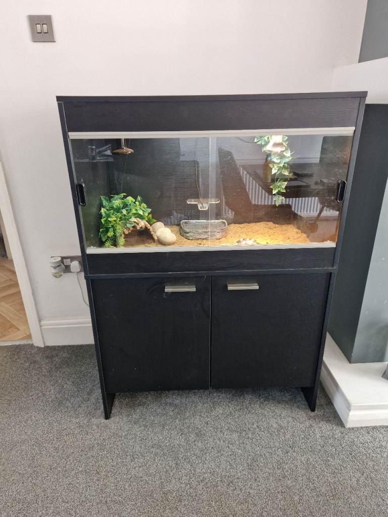 Reptile vivarium