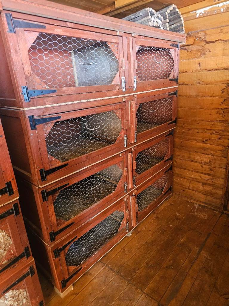 Breeding block, hutch