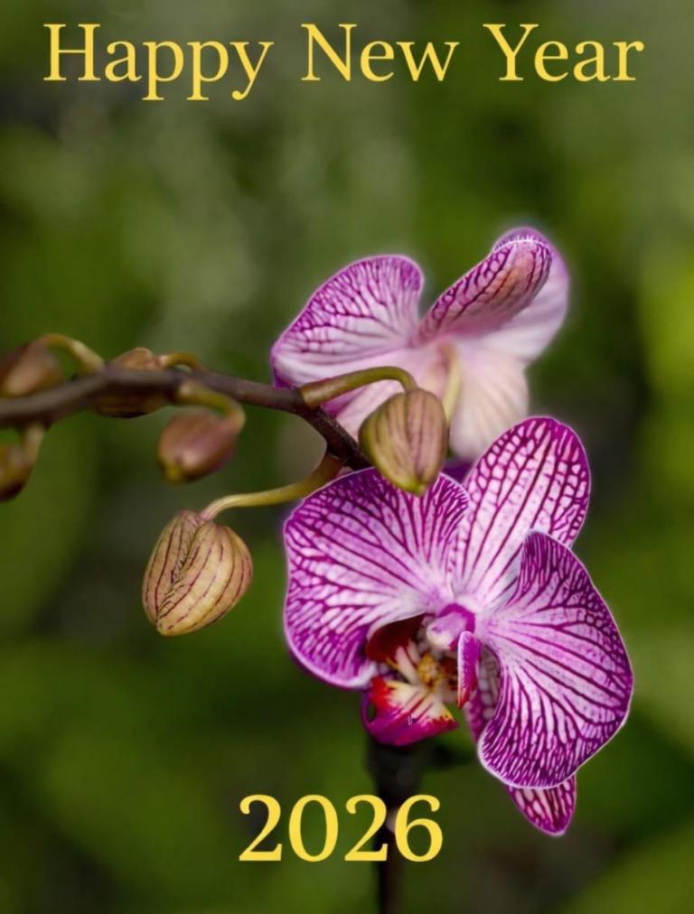 New Relaxing massage 