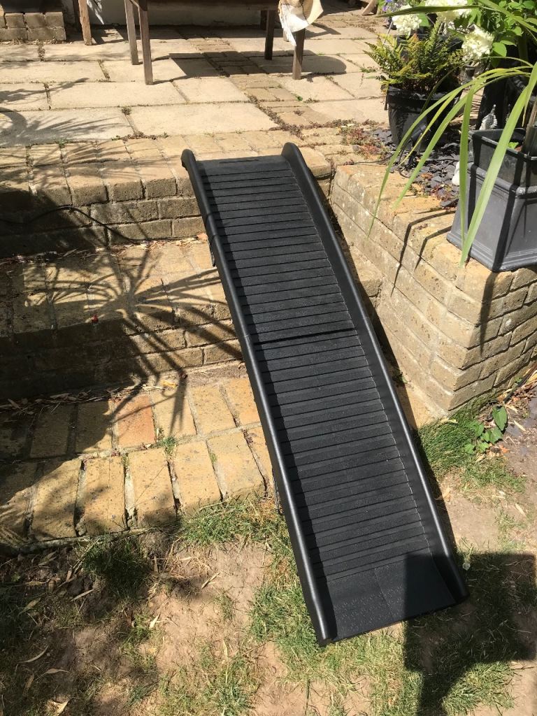 Pet ramp (up to large dog)