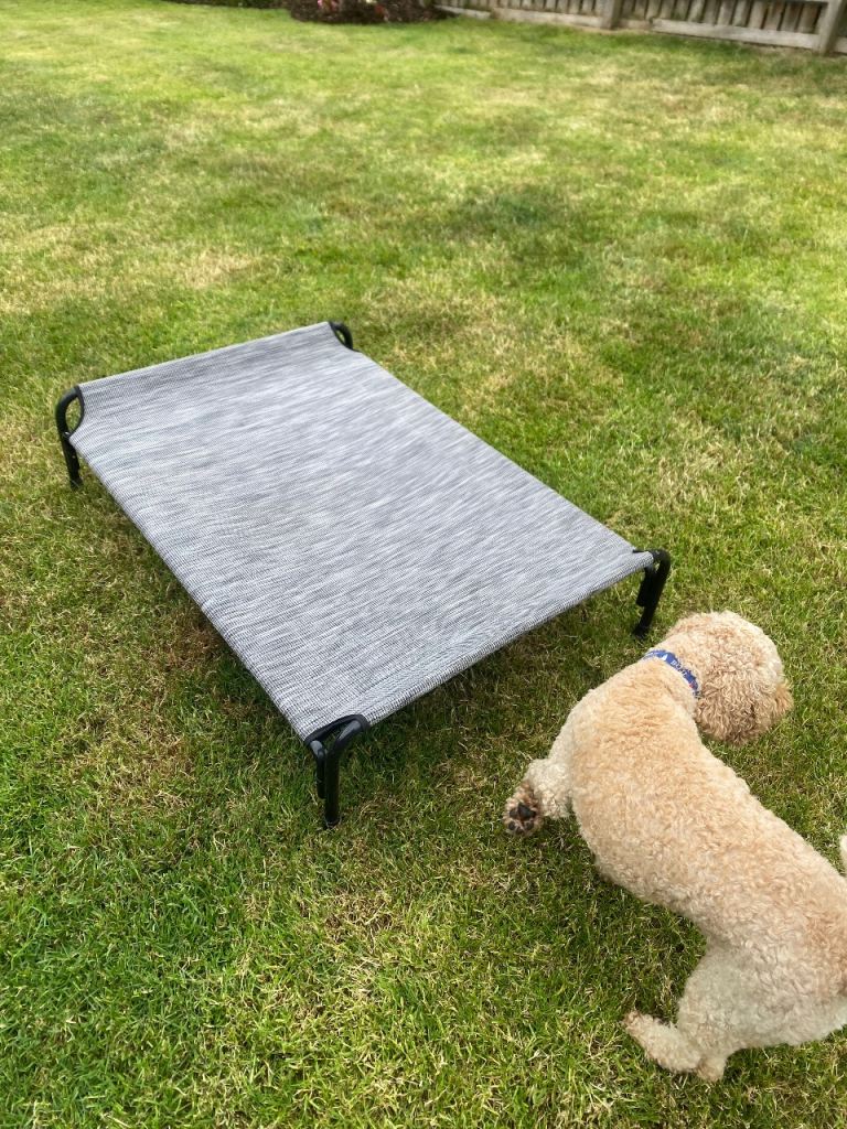 Elevated Dog Bed