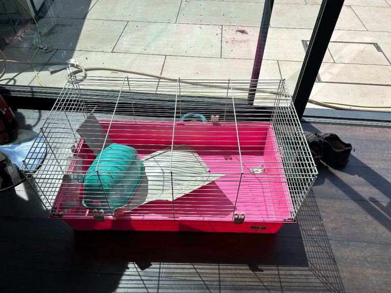 Guinea pig cage