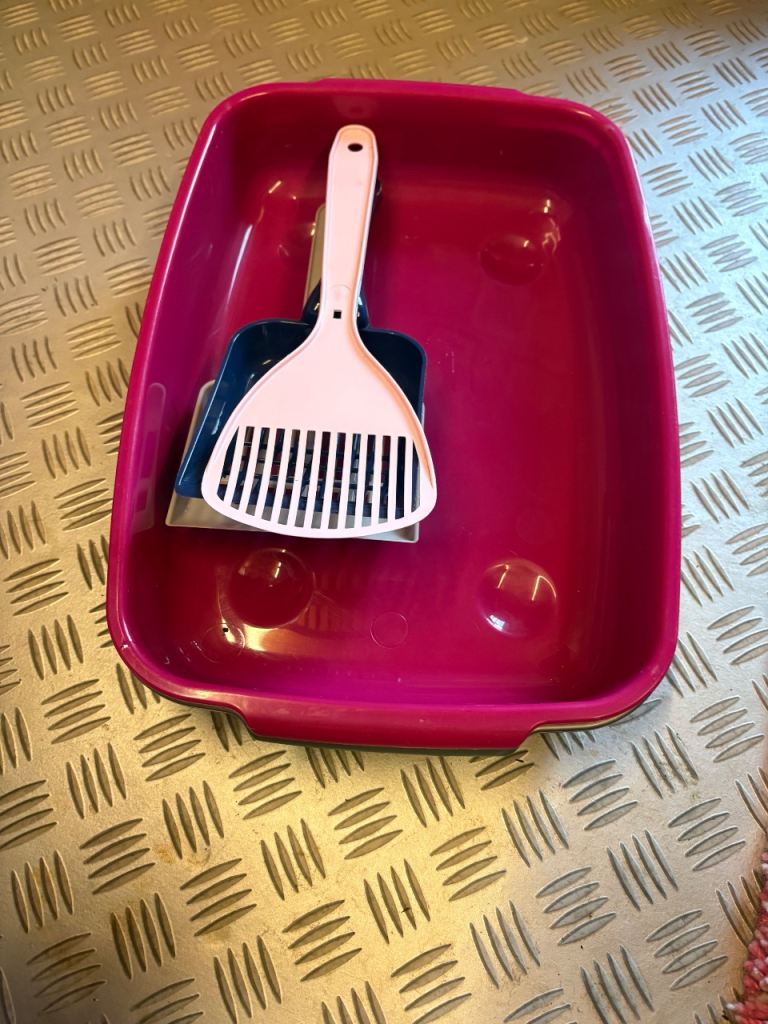 FREE - Kitten Litter Trays 