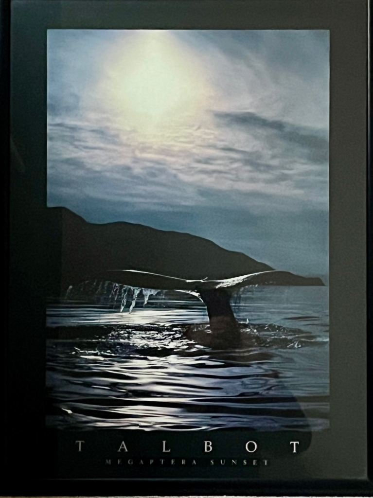 2 framed 1980’s Athena posters