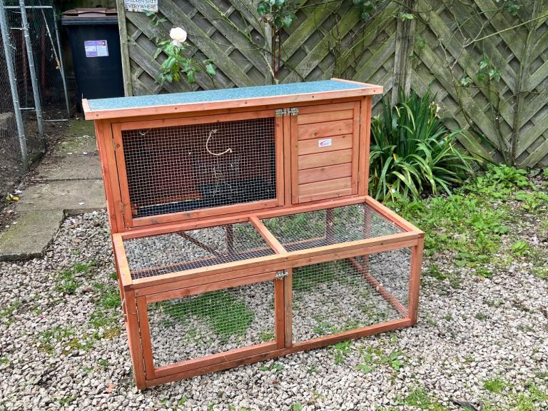 Rabbit enclosure 