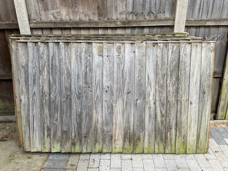 Fence Panels - Norwich NR13