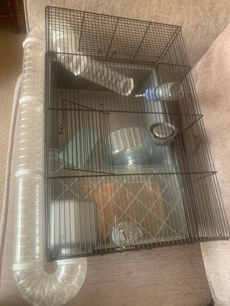 Cage 